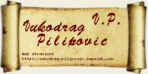 Vukodrag Pilipović vizit kartica